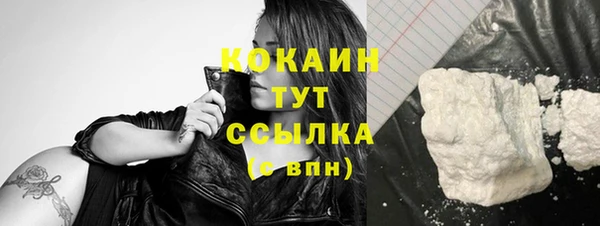 сатива Вяземский