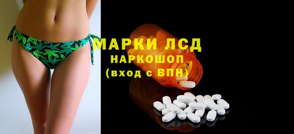 сатива Вяземский