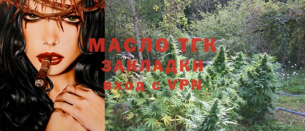 сатива Вяземский