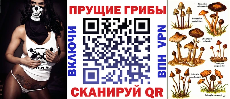 MEGA ONION  что такое наркотик  Зеленодольск  маркетплейс Telegram  Галлюциногенные грибы GOLDEN TEACHER 