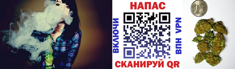 купить закладку  Зеленодольск  Бошки марихуана семена 